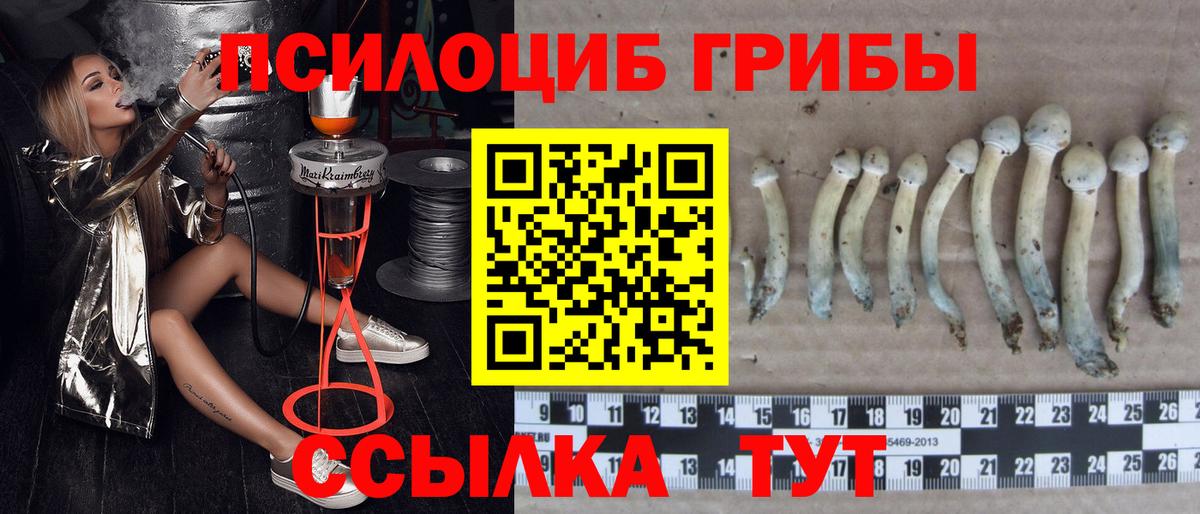 Ишим  цены наркотик  Вход с VPN  Галлюциногенные грибы Magic Shrooms 