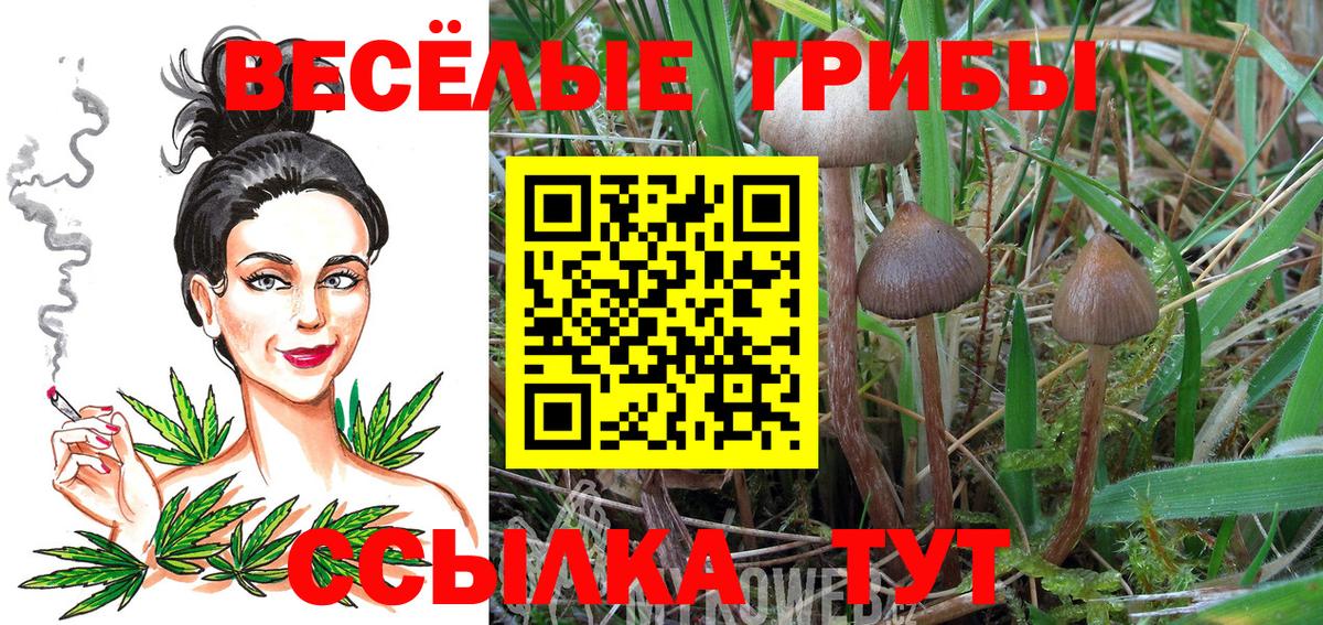 Галлюциногенные грибы Magic Shrooms Ишим